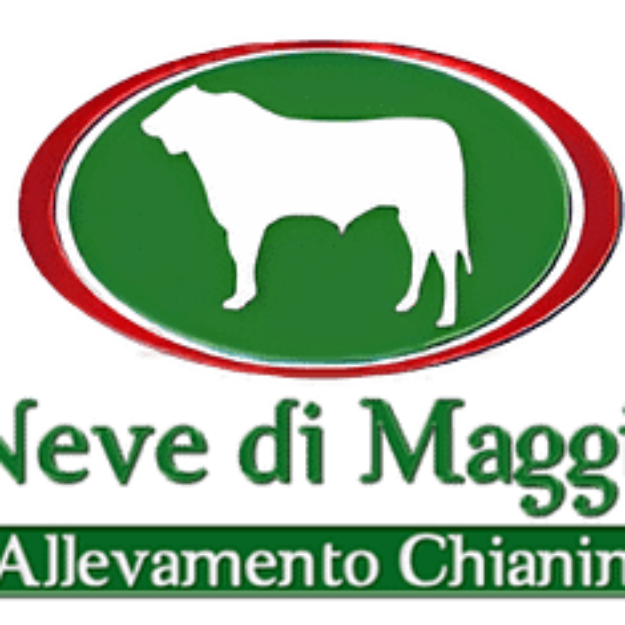 NEVE DI MAGGIO
