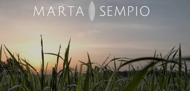marta sempio riso banner 2024